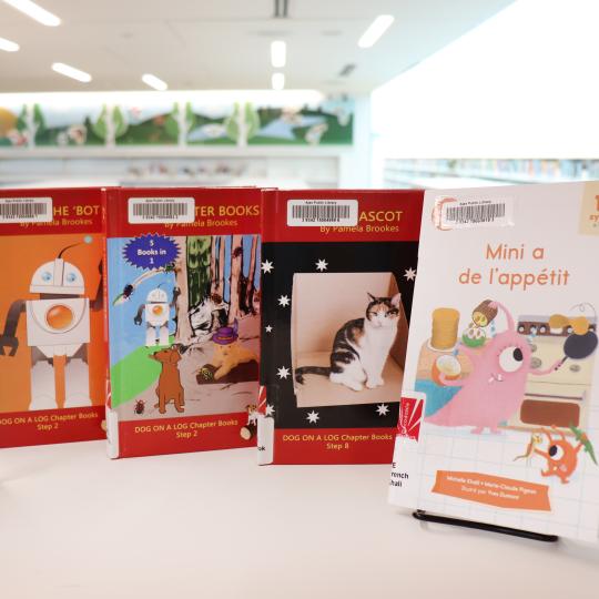 Four decodable books on display in the Library. 